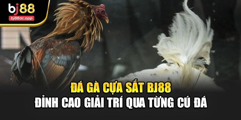 Đá Gà Cựa Sắt Bj88 – Đỉnh Cao Giải Trí Qua Từng Cú Đá