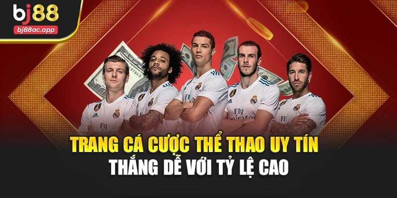Trang Cá Cược Thể Thao Uy Tín – Thắng Dễ Với Tỷ Lệ Cao